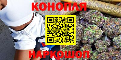 стафф Кинель