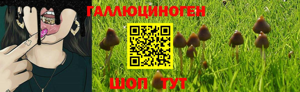 Галлюциногенные грибы Magic Shrooms Черняховск