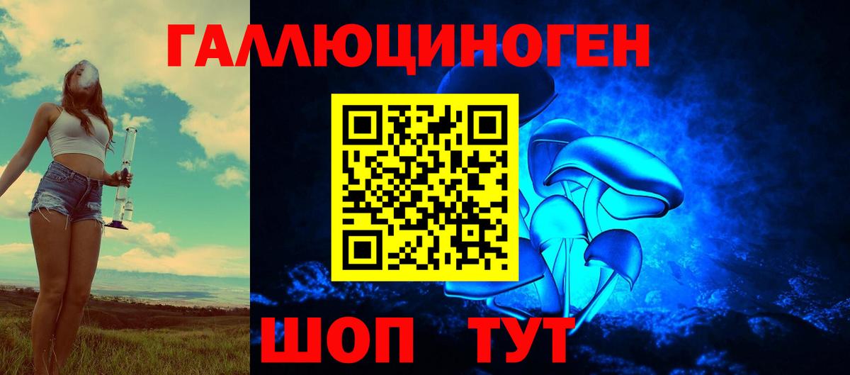 Черняховск  Галлюциногенные грибы Cubensis  купить наркотик  Вход с VPN 